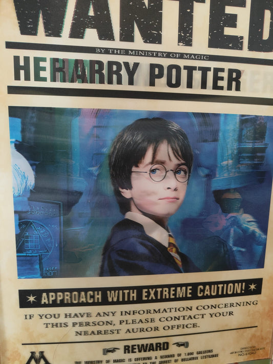 Poster3D- Harry Potter Wanted